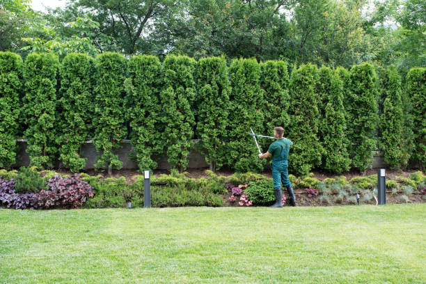 Best Aeration Services  in Gastonia, NC
